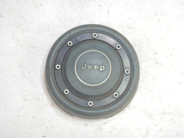 76 -95 Wrangler YJ CJ Cherokee XJ Gray Horn Cap Button Cover