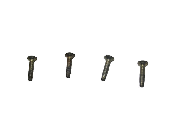 97-06 Wrangler TJ OEM Door Striker Latch Screw Screws Only (4)
