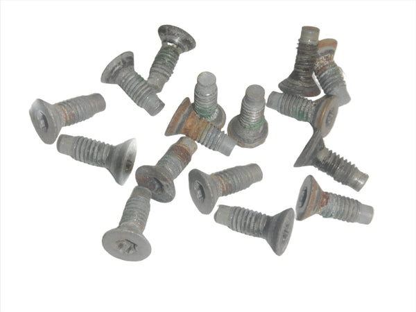 76-86 CJ Torx Screws for Windshield (16)